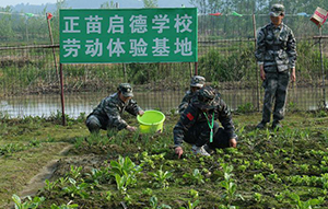 种植基地