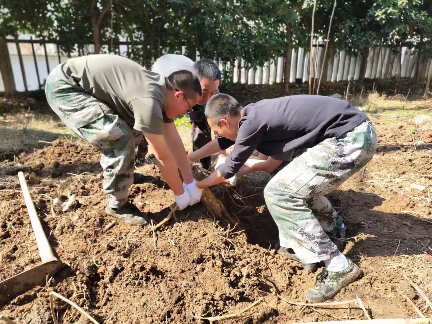 勞動教育基地正式啟用，我們在行動(圖2)