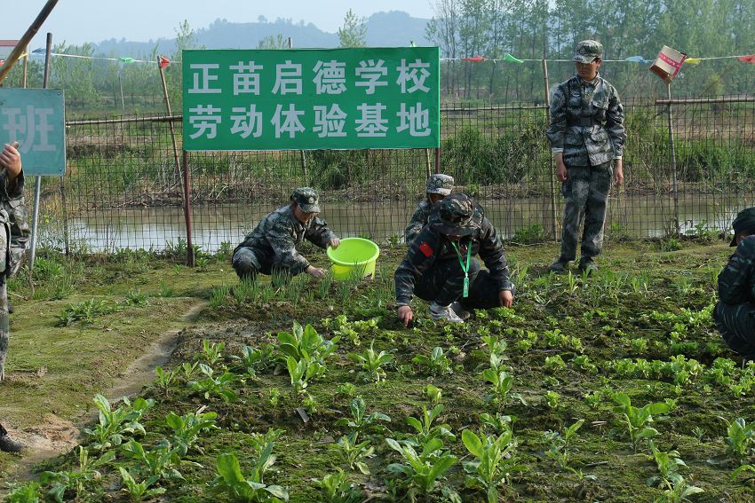 種植基地(圖1)