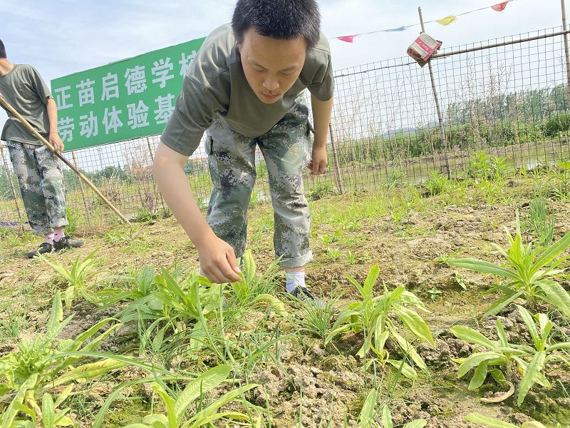 不當的家庭教育會導致青少年心理脆弱嗎？