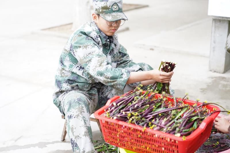 心理輔導+行為習慣養成(圖4)