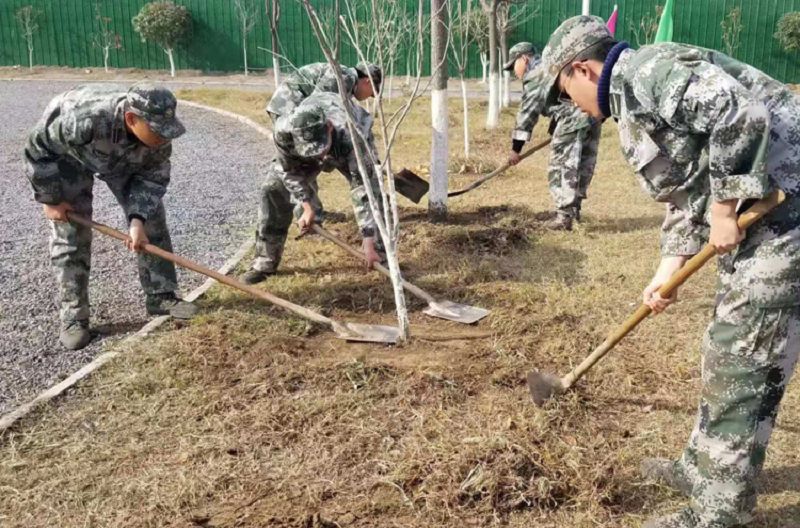 冬日暖陽 師生互動 創建最美校園(圖4)