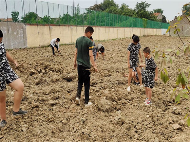 啟德勵志教育湖北學校勞動教育基地什么樣子(圖5)