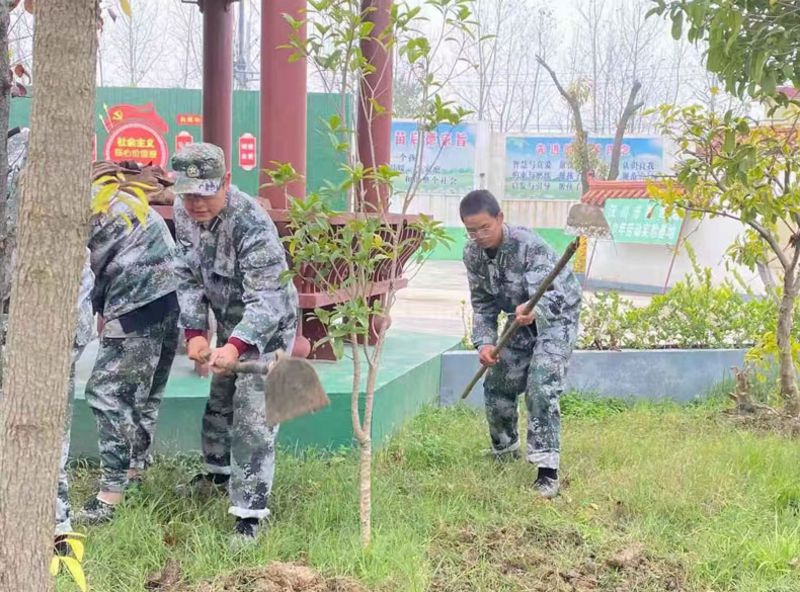 戶外種植體驗(圖2)