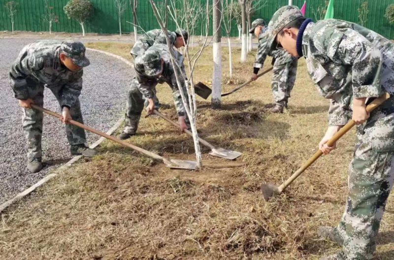 叛逆期的叛逆少年学校有什么优点？如何引导叛逆期的少年