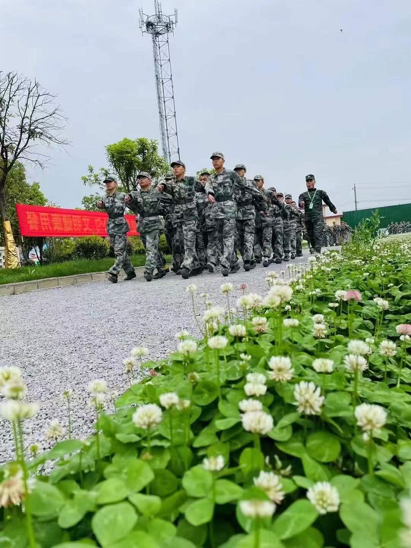 播種和收獲不在同一個季節，不要急于回報(圖2)