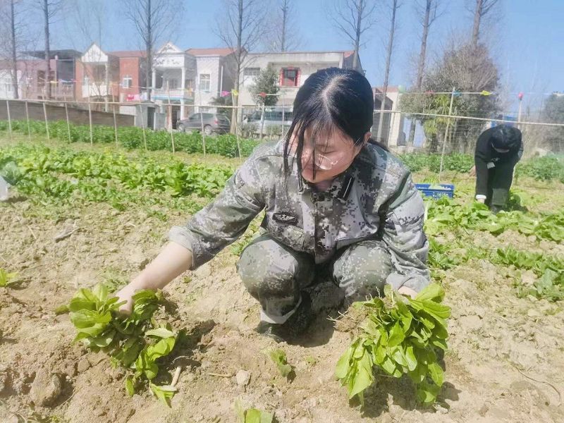 在劳动的过程中，体会劳动的价值与意义