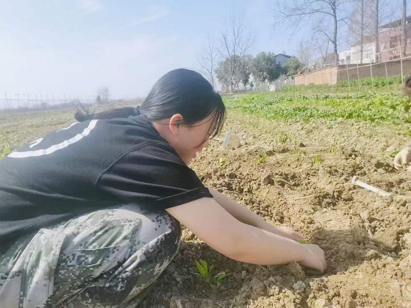 在勞動的過程中，體會勞動的價值與意義(圖3)