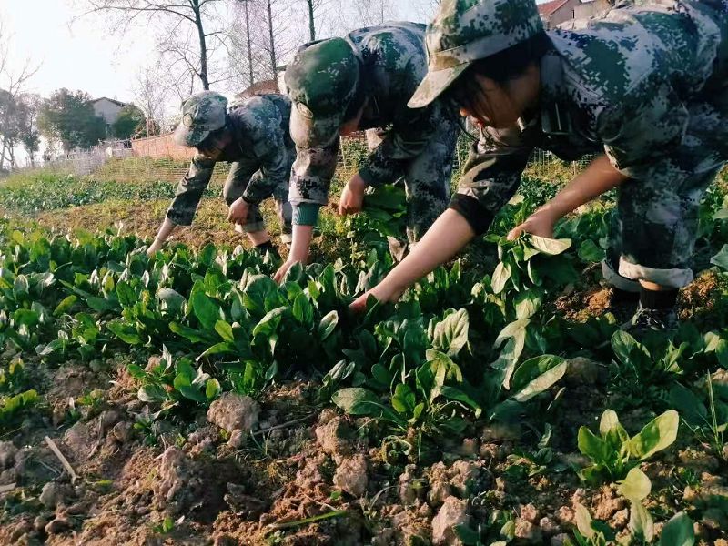 致敬中國的每一個勞動者，你們都是最偉大的(圖2)