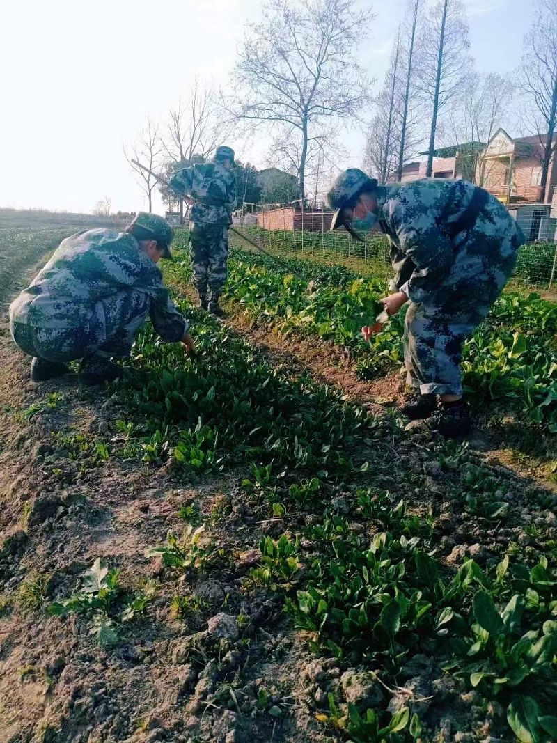 致敬中國的每一個勞動者，你們都是最偉大的(圖4)