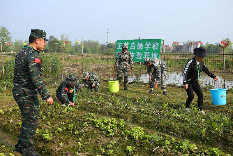 混一天和努力一天的距離(圖2)